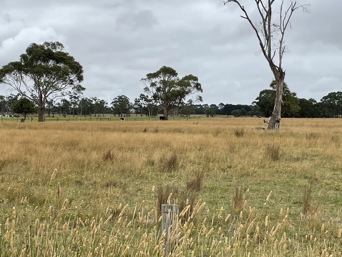 Cobden-Scotts Creek Road, Cobden, VIC, Cobden - Thumbnail 6