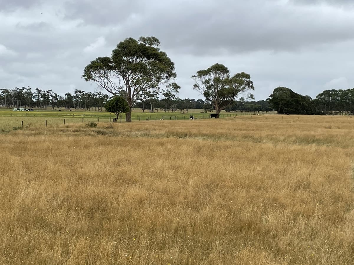 Cobden-Scotts Creek Road, Cobden, VIC, Cobden - Thumbnail 7