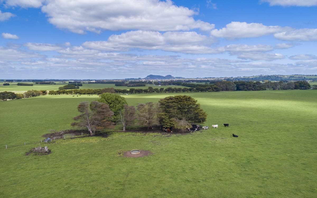 17 Skibo Road, Skibo, VIC, Skibo - Thumbnail 3