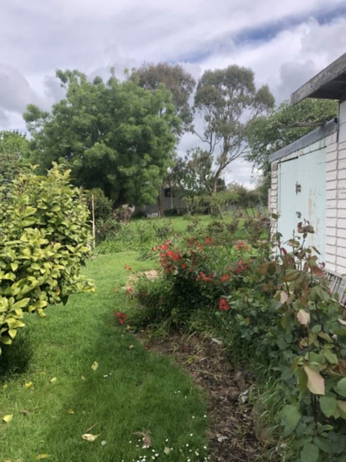 11 York Street, Camperdown, VIC, Camperdown - Thumbnail 6