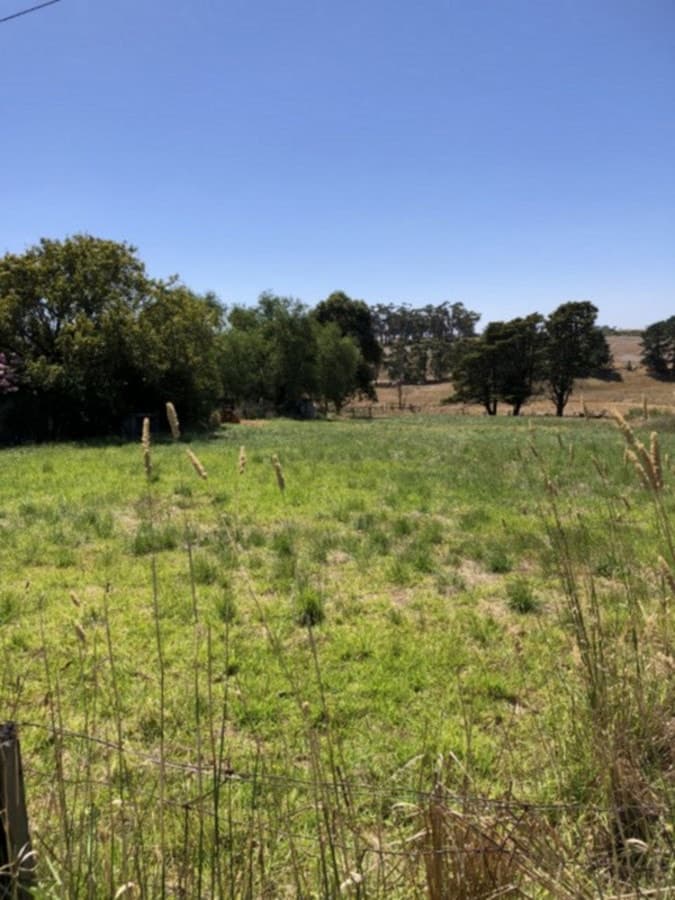 52 Gray Street, Lismore, VIC, Lismore - Thumbnail 4