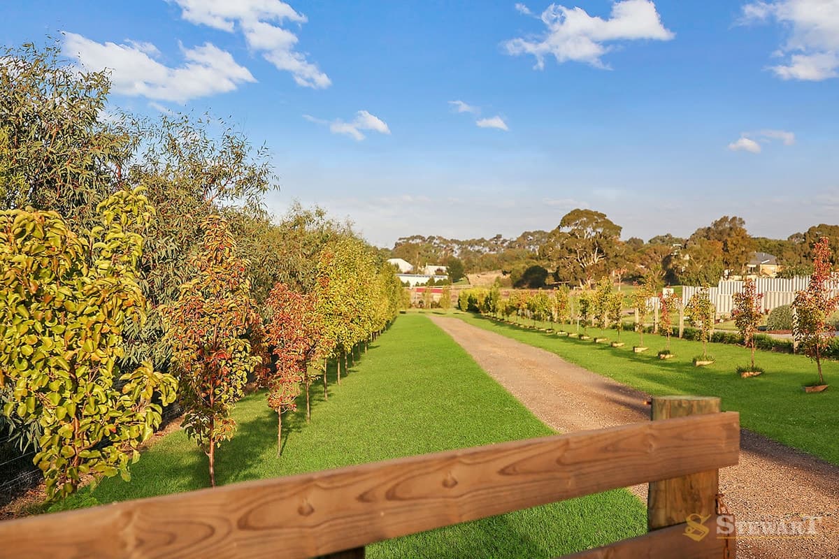 370 Queen Street, Elliminyt, VIC, Elliminyt - Thumbnail 2