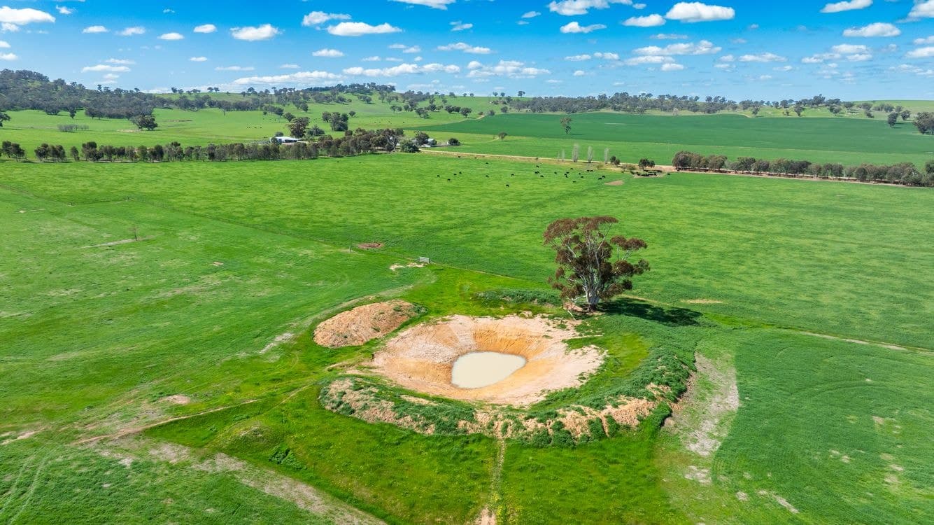 341 Reynella Road, WALBUNDRIE, NSW 2642, Walbundrie - Thumbnail 6