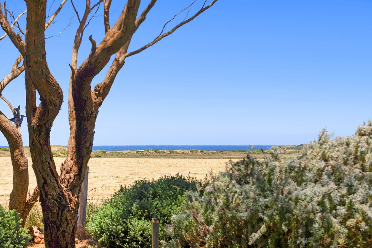 228 Survey Lane, Killarney, VIC, Killarney - Thumbnail 7