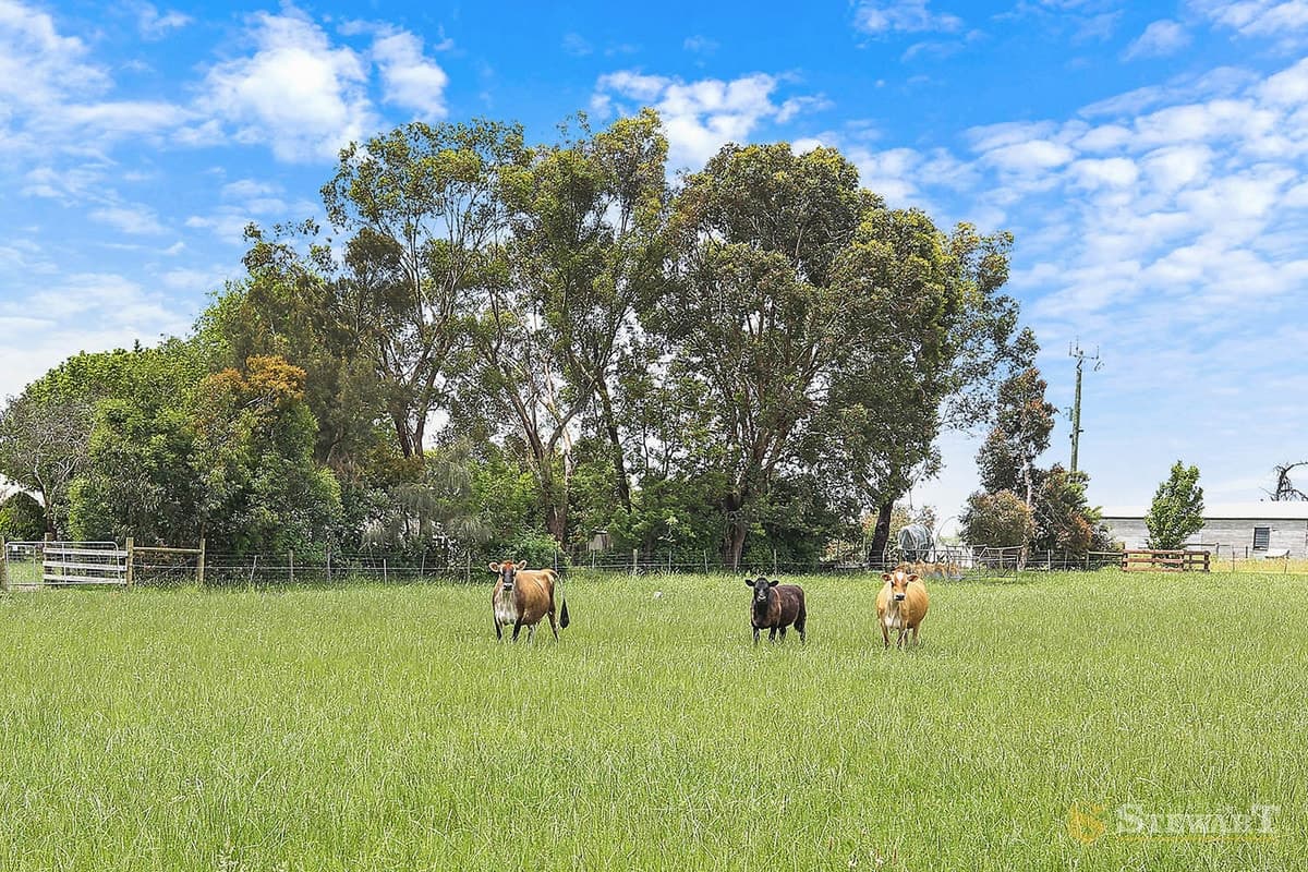 3 Slater Street, Elliminyt, VIC, Elliminyt - Image 1