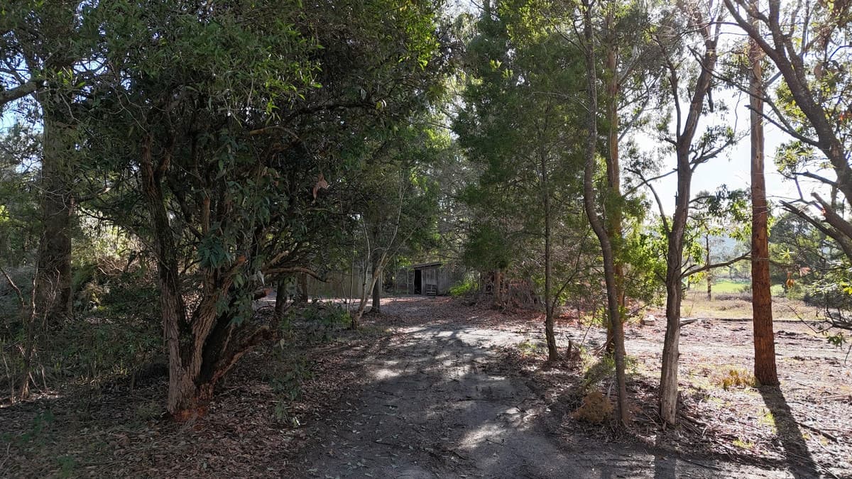 2390 Colac -Lavers Hill Road, Gellibrand, VIC, Gellibrand - Thumbnail 4