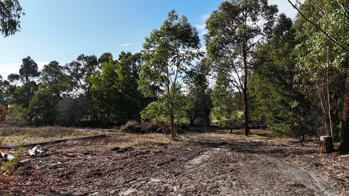 2390 Colac -Lavers Hill Road, Gellibrand, VIC, Gellibrand - Thumbnail 7
