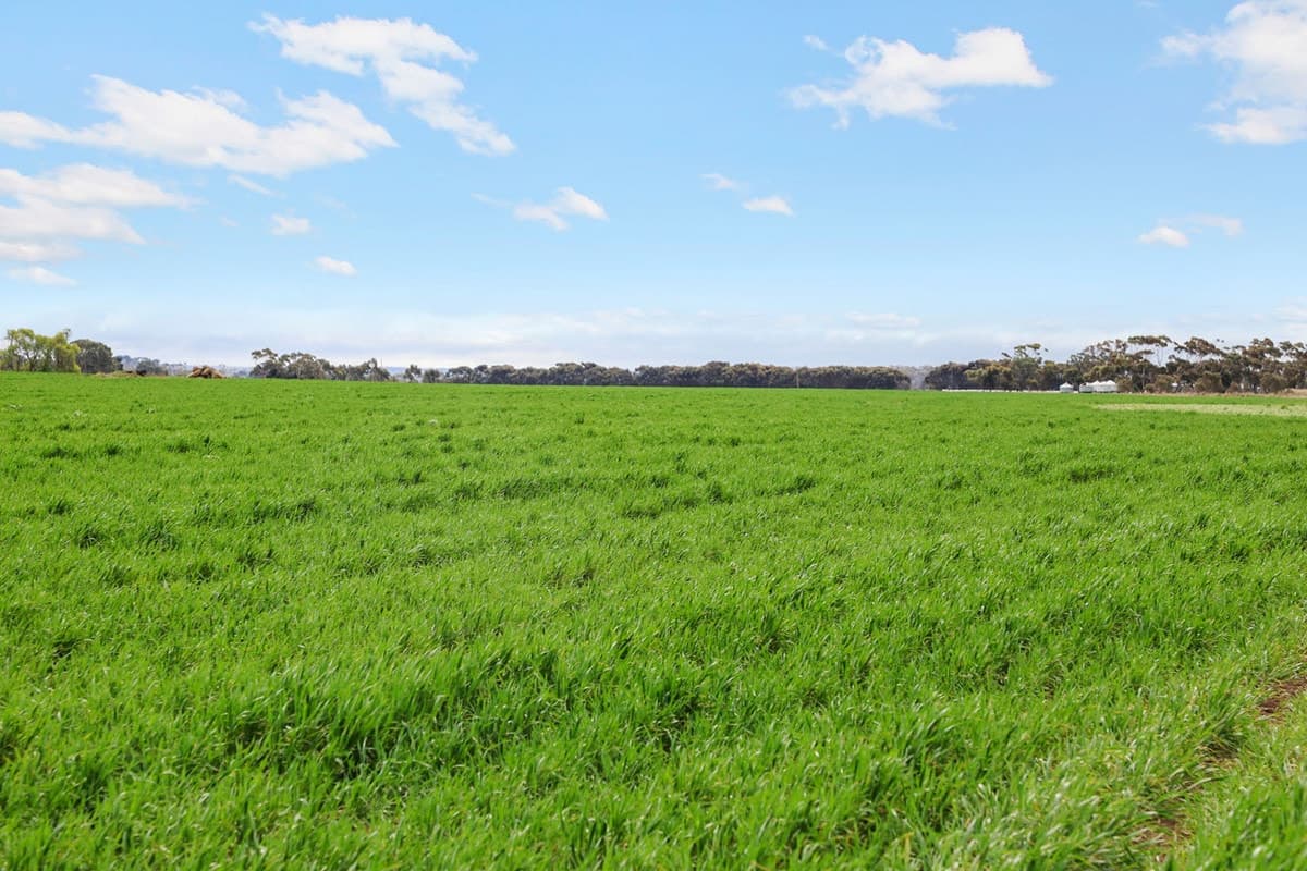 1047 Rokewood-Shelford Road, Shelford, VIC, Shelford - Thumbnail 2