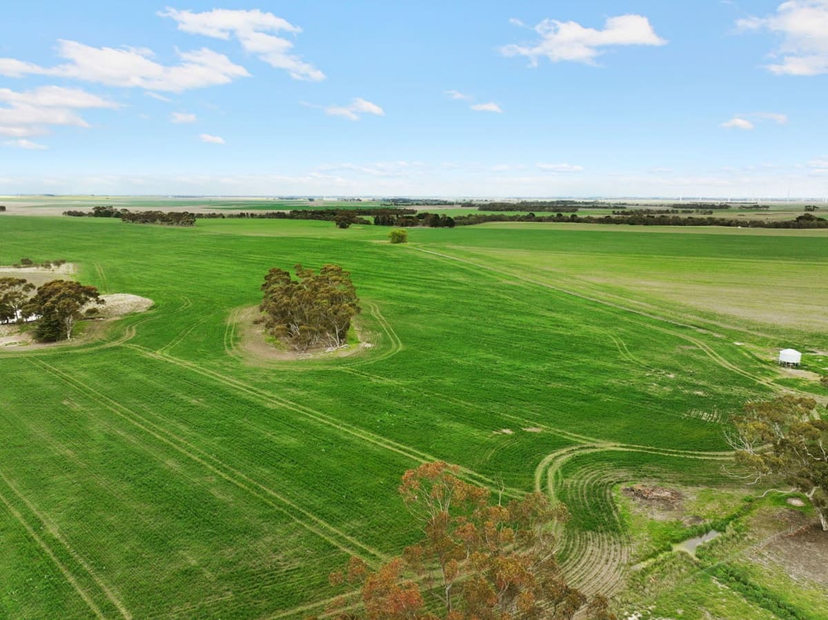 1047 Rokewood-Shelford Road, Shelford, VIC, Shelford - Thumbnail 3