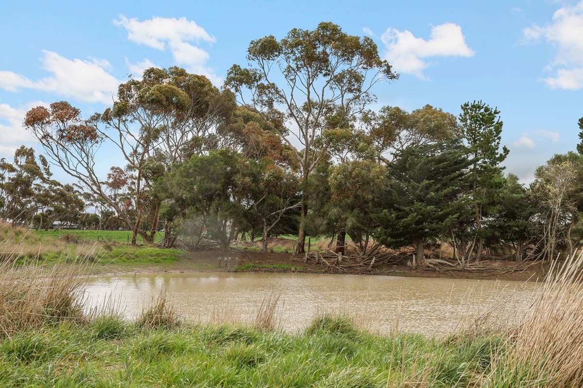 1047 Rokewood-Shelford Road, Shelford, VIC, Shelford - Thumbnail 5