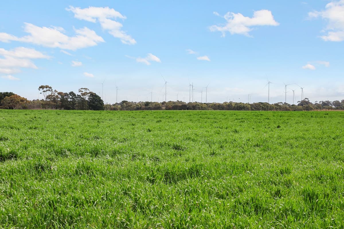 1047 Rokewood-Shelford Road, Shelford, VIC, Shelford - Thumbnail 6