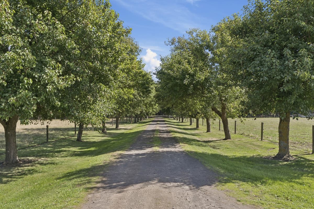 1600 Williams Road, Simpson, VIC, Simpson - Thumbnail 2