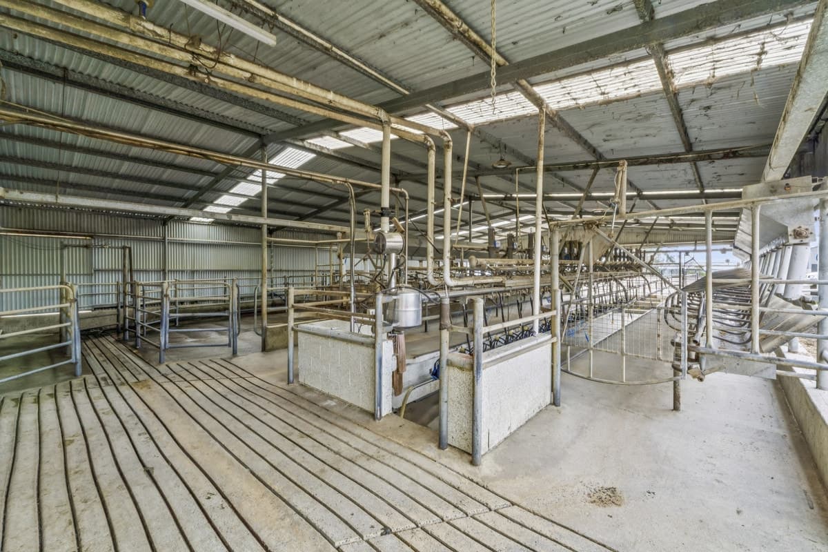 1471 Cooriemungle Road, Cooriemungle, VIC, Cooriemungle - Thumbnail 8