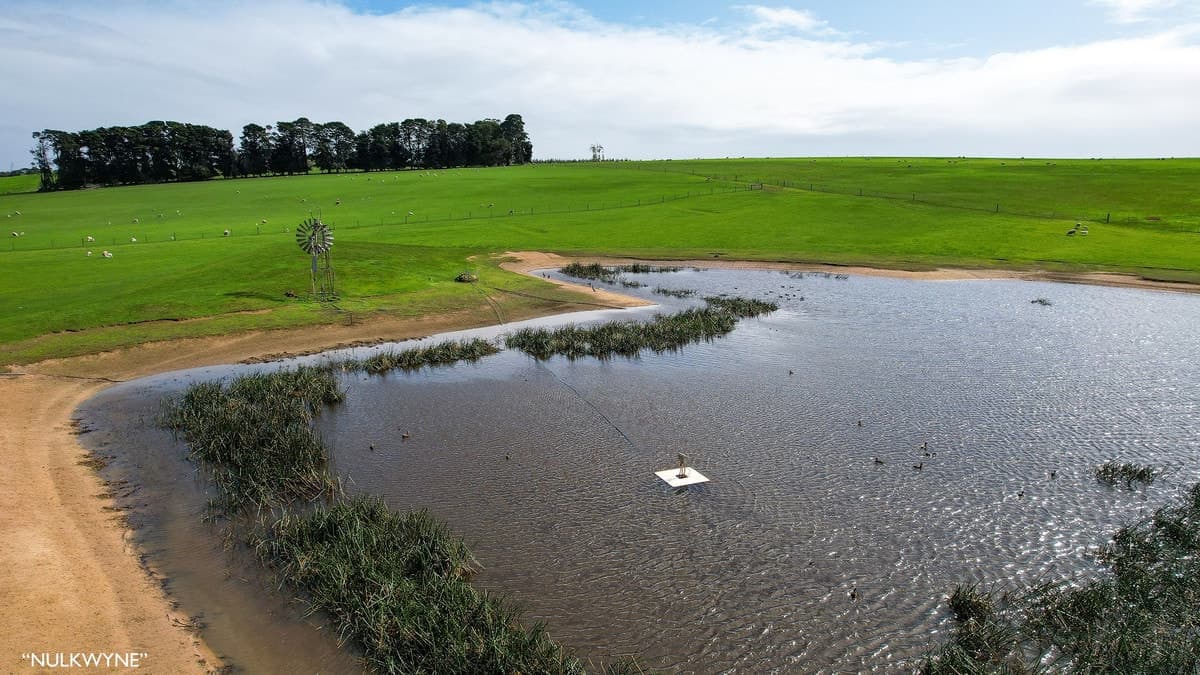 3960 Dartmoor-Hamilton Road, Grassdale, VIC, Grassdale - Thumbnail 4
