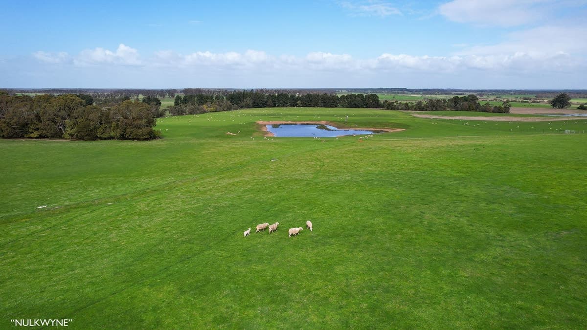 3960 Dartmoor-Hamilton Road, Grassdale, VIC, Grassdale - Thumbnail 5