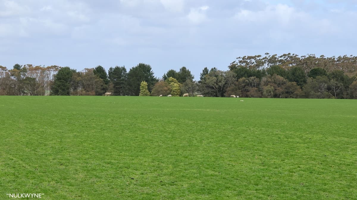 3960 Dartmoor-Hamilton Road, Grassdale, VIC, Grassdale - Thumbnail 6