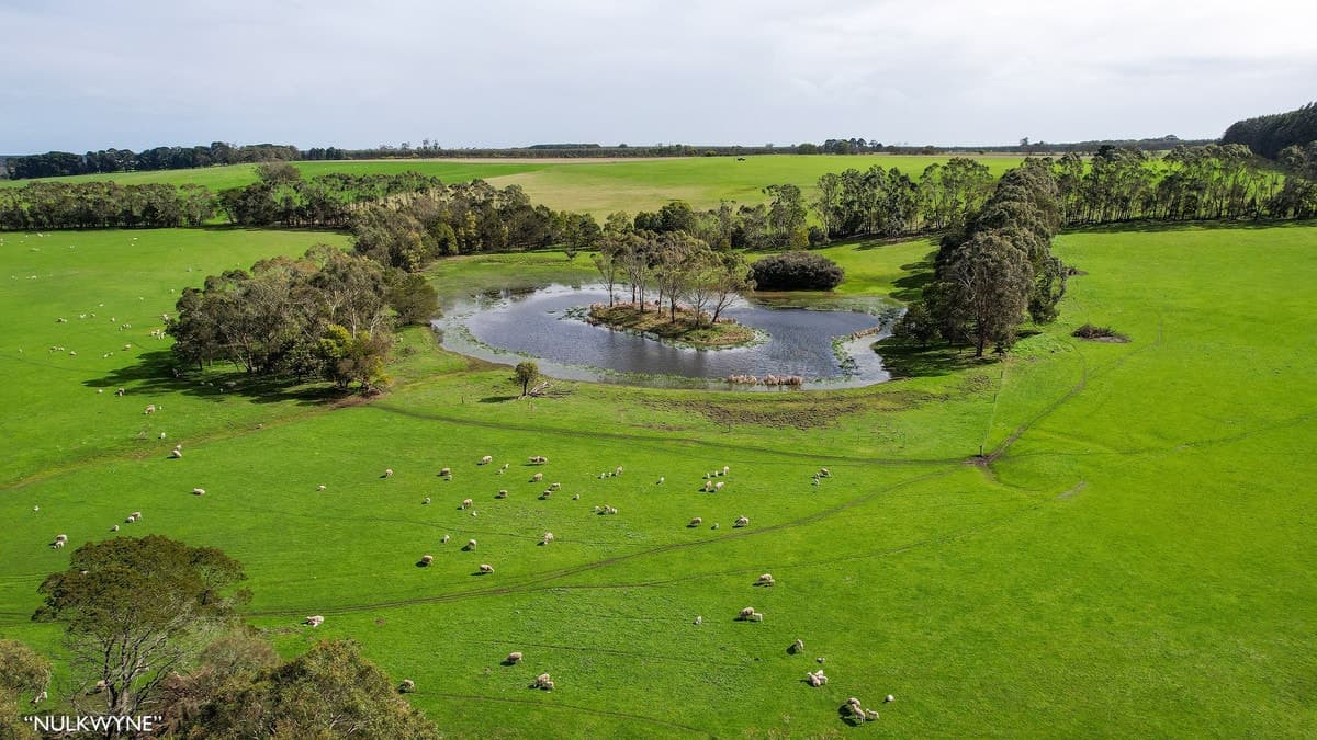 3960 Dartmoor-Hamilton Road, Grassdale, VIC, Grassdale - Thumbnail 7