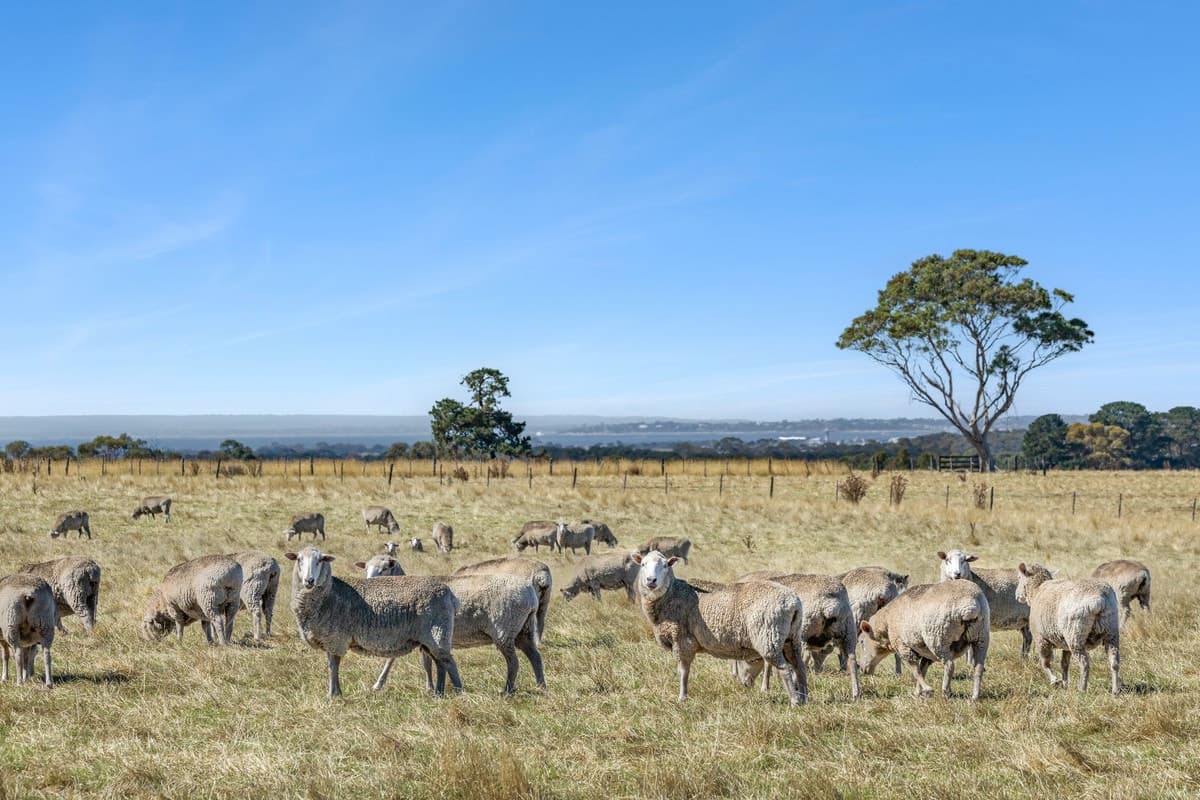 65 Banks Road, Mannerim, VIC, Mannerim - Thumbnail 2