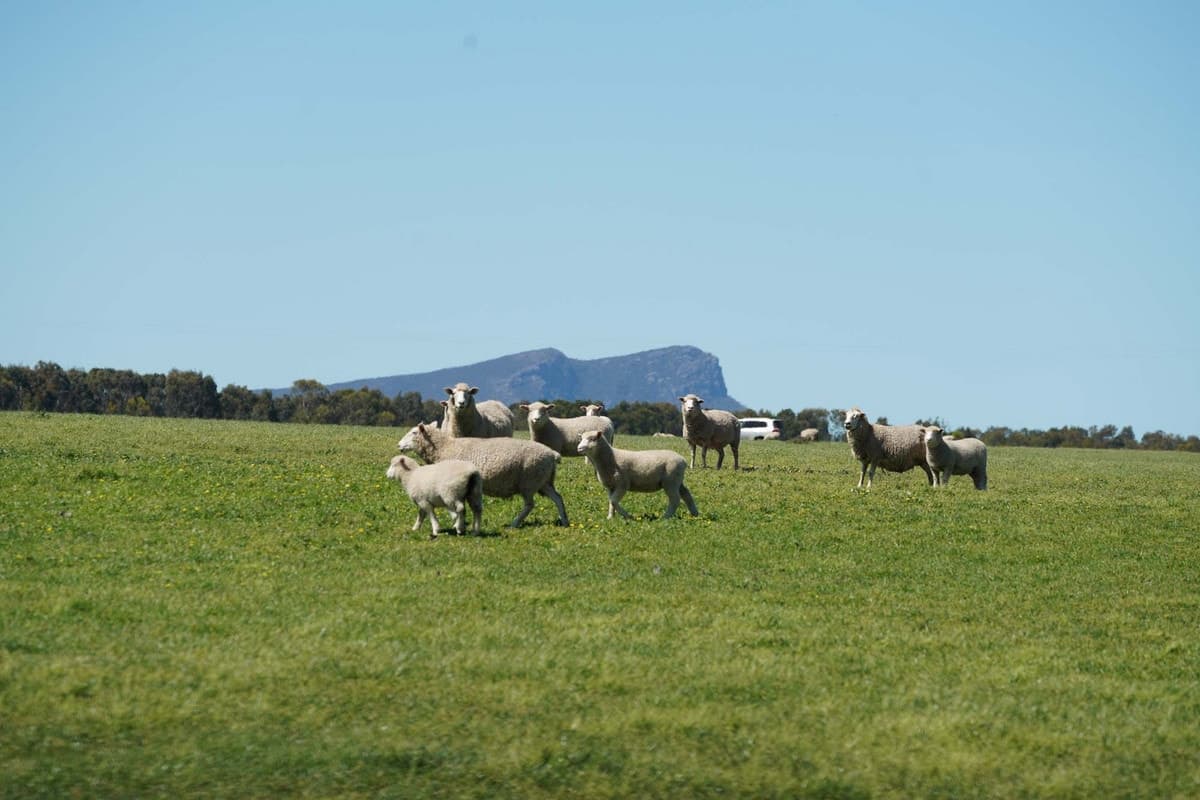3078 Victoria Point Road, Moutajup, VIC, Moutajup - Image 1