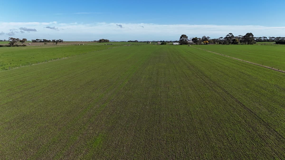 321 Larpent Road, Cororooke, VIC, Cororooke - Thumbnail 2