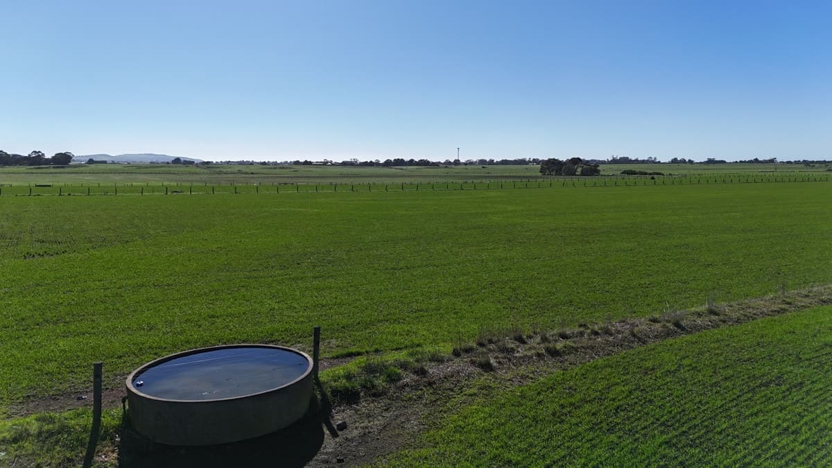 321 Larpent Road, Cororooke, VIC, Cororooke - Thumbnail 3
