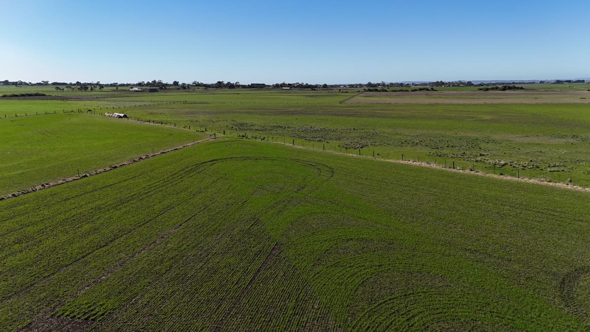 321 Larpent Road, Cororooke, VIC, Cororooke - Thumbnail 4