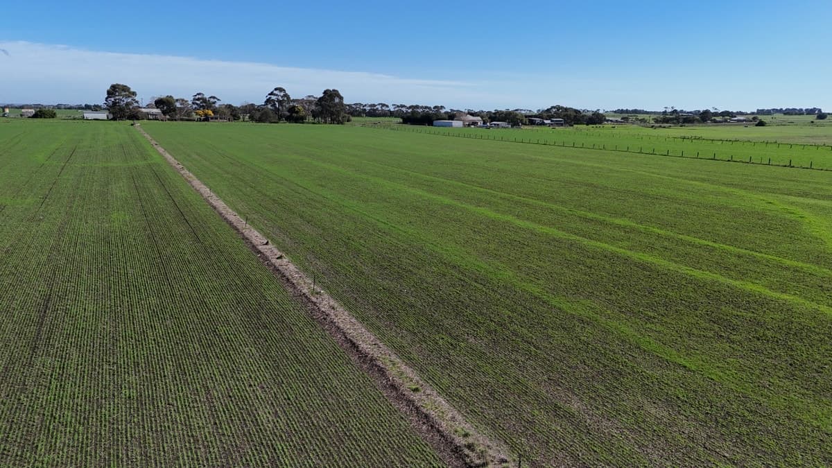 321 Larpent Road, Cororooke, VIC, Cororooke - Thumbnail 5