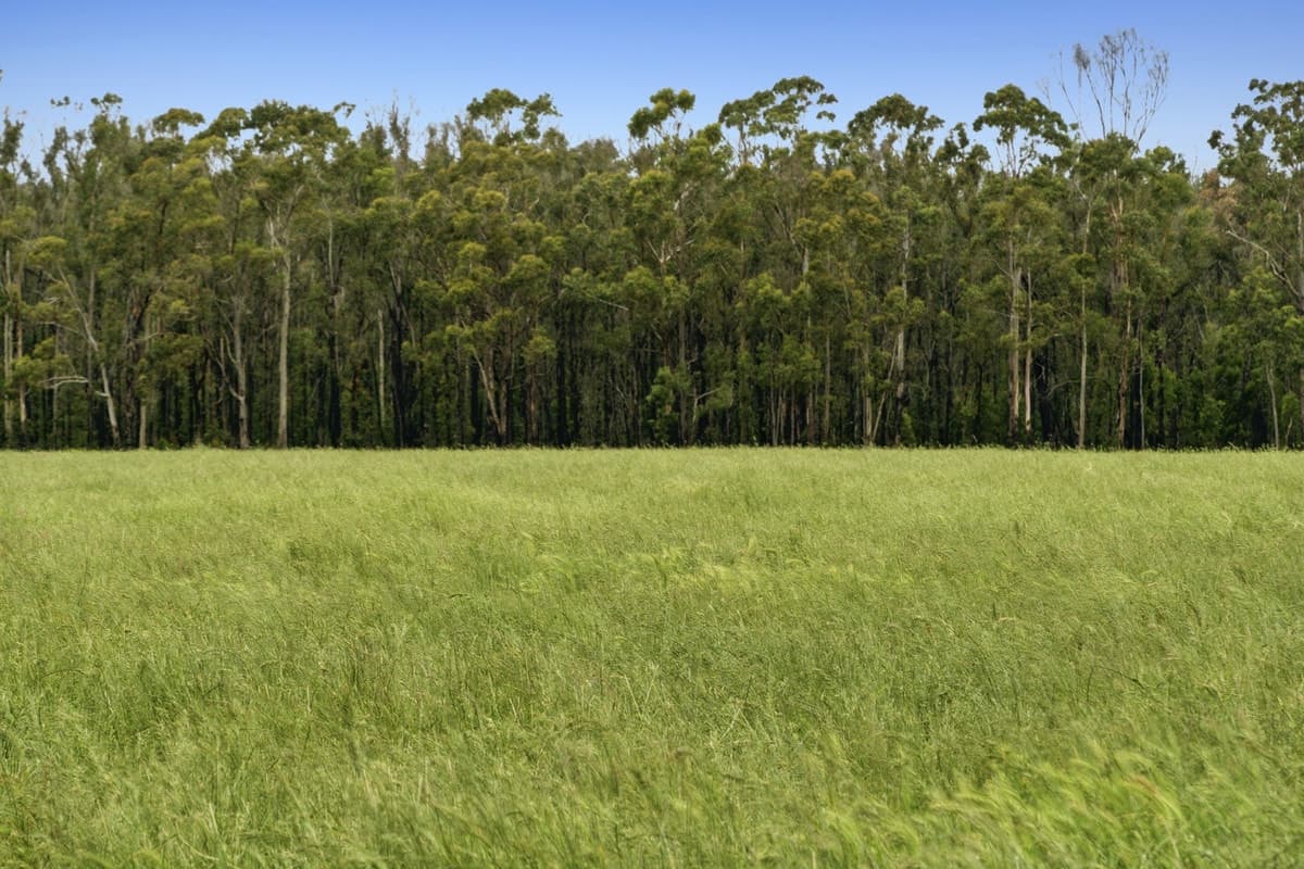 190 Blacks Road, Irrewillipe, VIC, Irrewillipe - Thumbnail 2