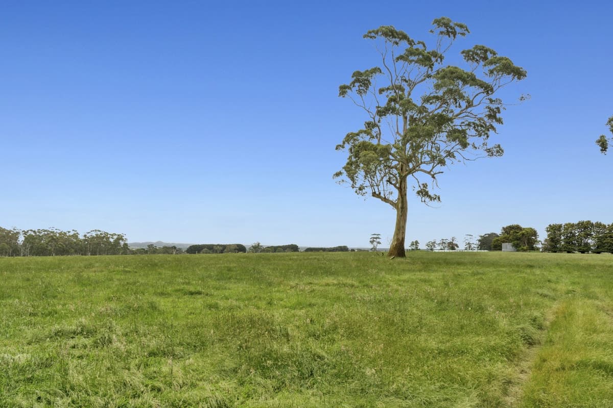 190 Blacks Road, Irrewillipe, VIC, Irrewillipe - Thumbnail 3