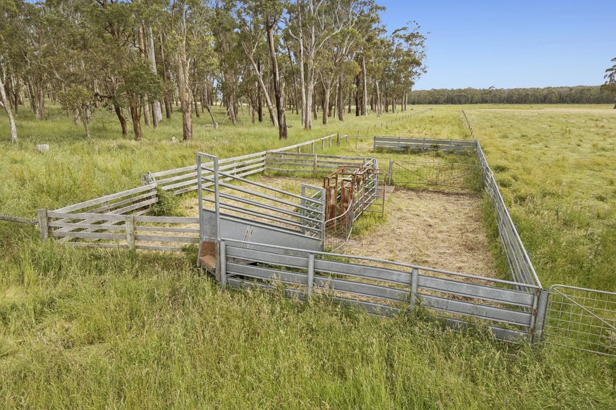 190 Blacks Road, Irrewillipe, VIC, Irrewillipe - Thumbnail 4