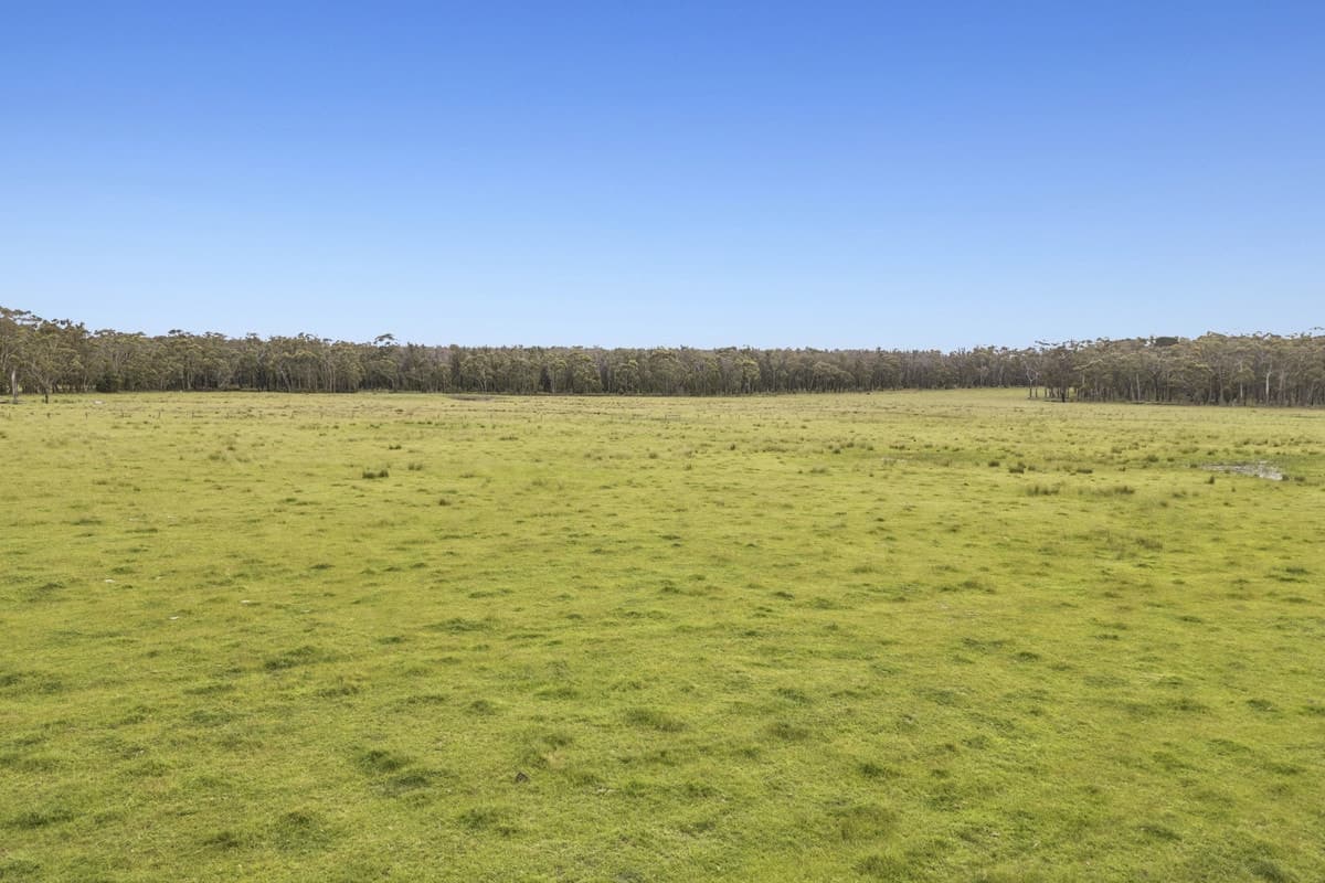 190 Blacks Road, Irrewillipe, VIC, Irrewillipe - Thumbnail 7