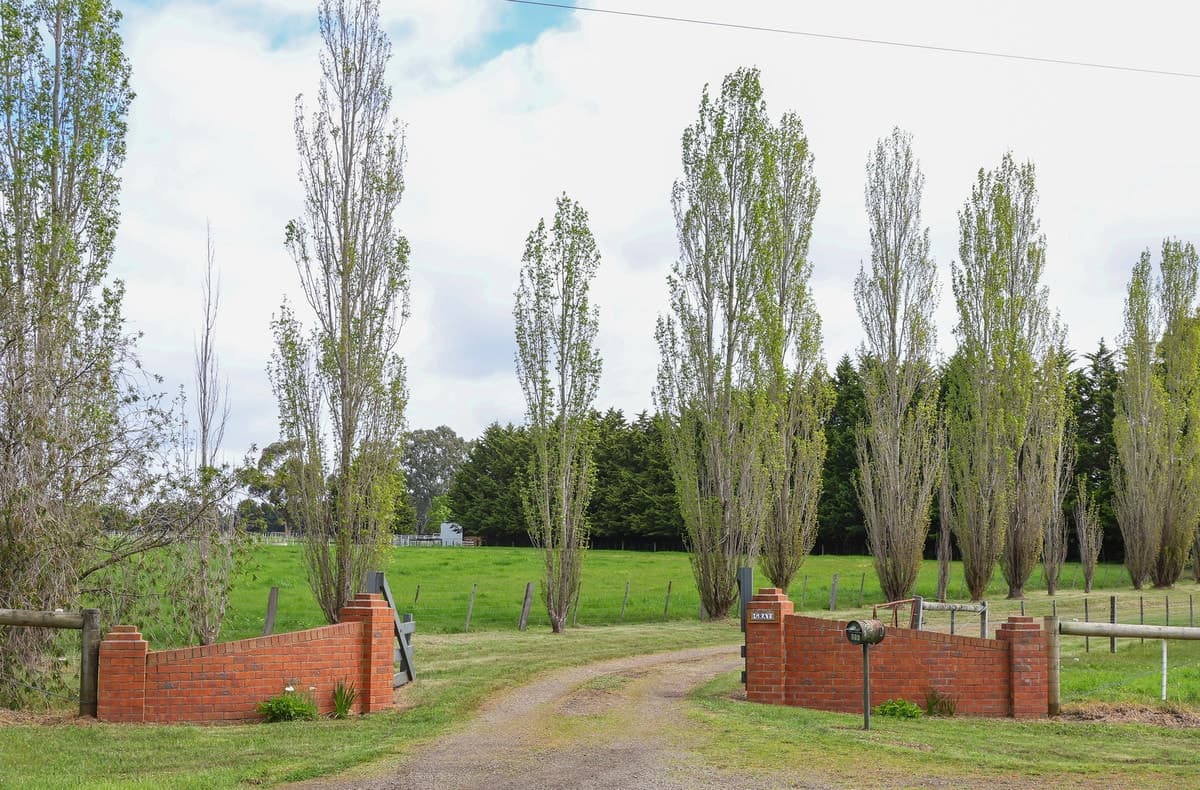 555 Mill Road, Strathkellar, VIC, Strathkellar - Image 1
