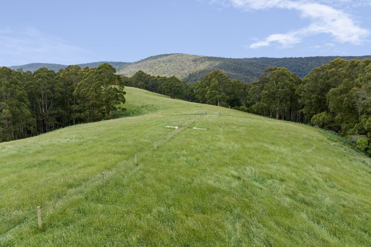 825 Bambra-Boonah Road, Boonah, VIC, Boonah - Thumbnail 3