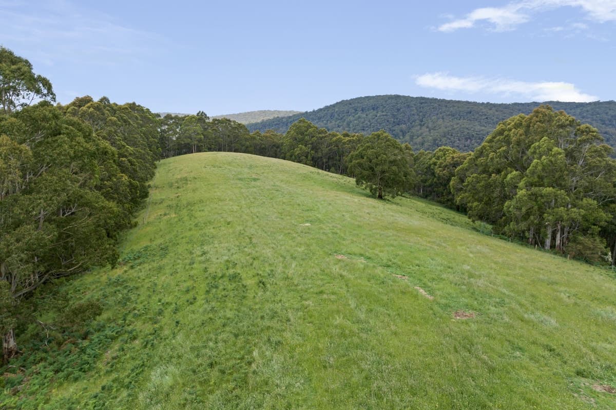 825 Bambra-Boonah Road, Boonah, VIC, Boonah - Thumbnail 5