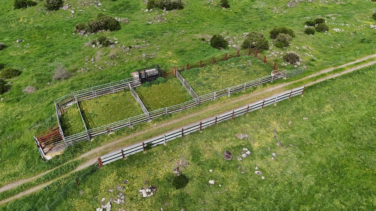 2103 Princes Highway, Swan Marsh, VIC, Swan Marsh - Thumbnail 5