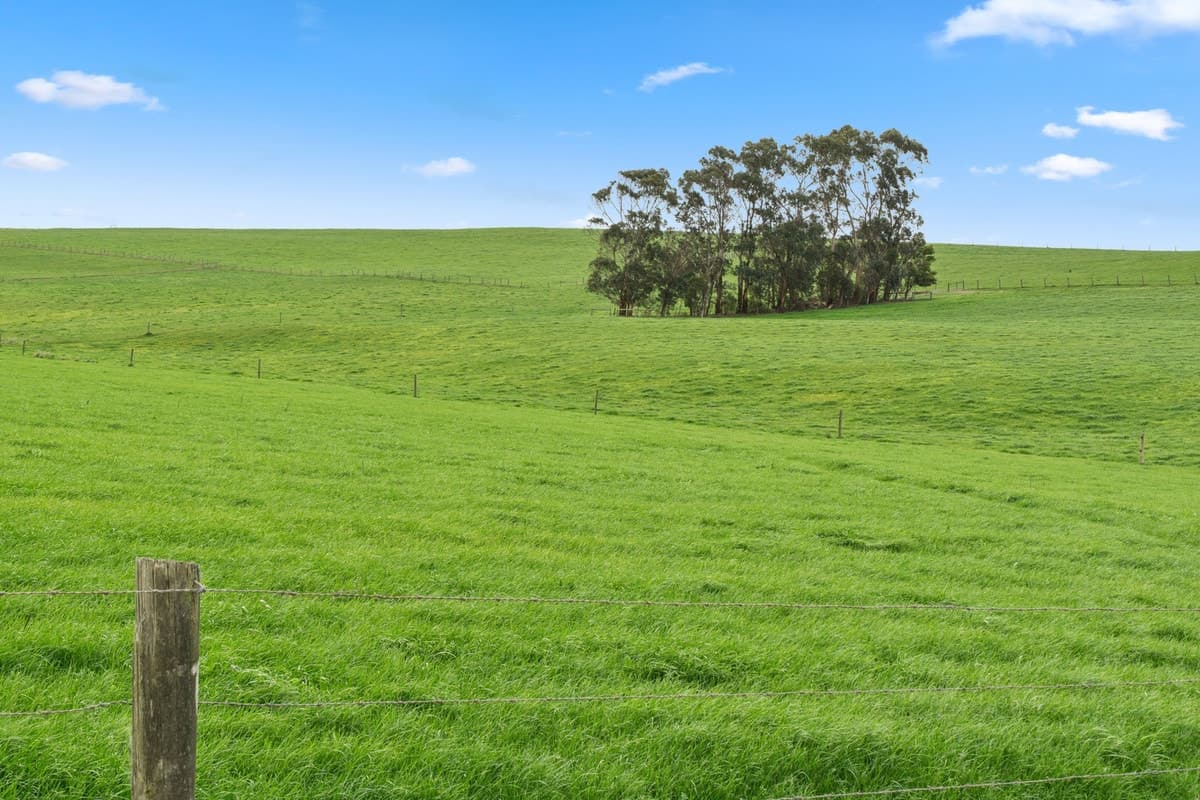 355 Cobden-Stonyford Road, Cobden, VIC, Cobden - Thumbnail 6