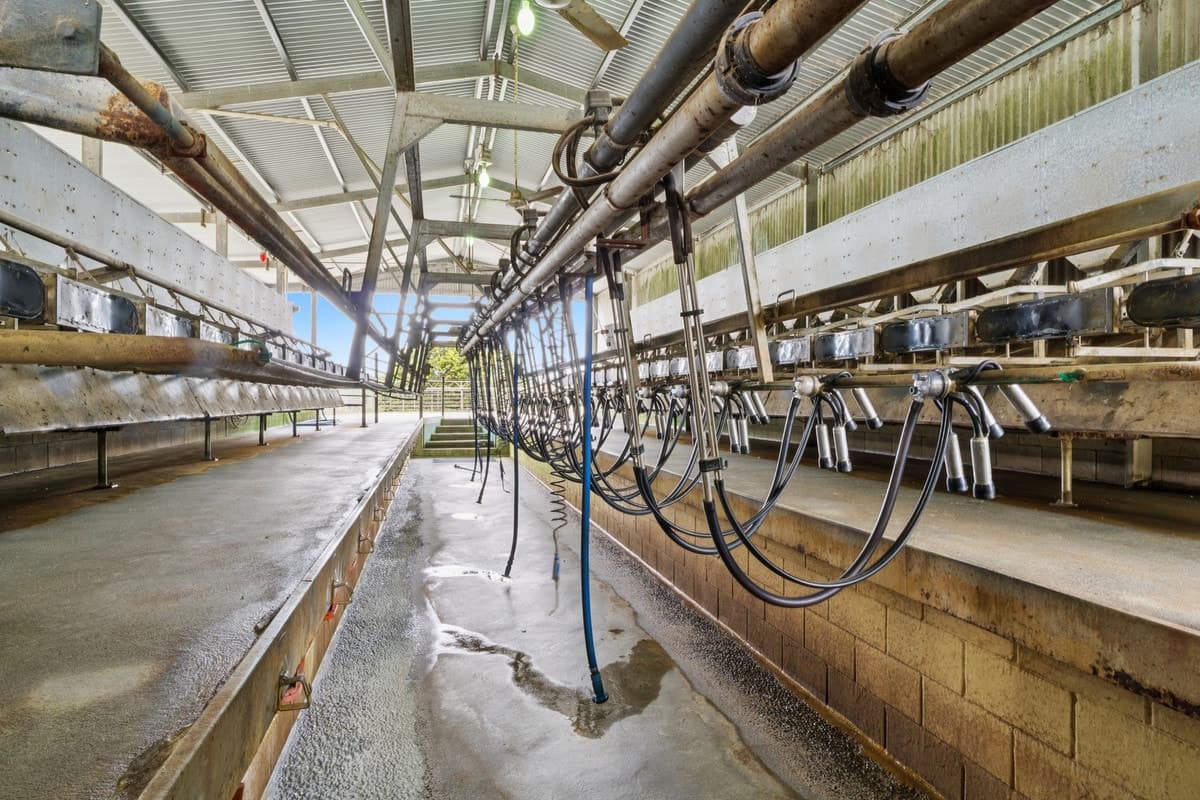 355 Cobden-Stonyford Road, Cobden, VIC, Cobden - Thumbnail 7