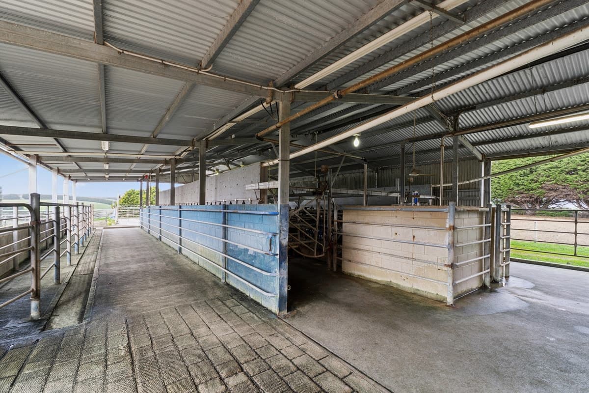 355 Cobden-Stonyford Road, Cobden, VIC, Cobden - Thumbnail 8