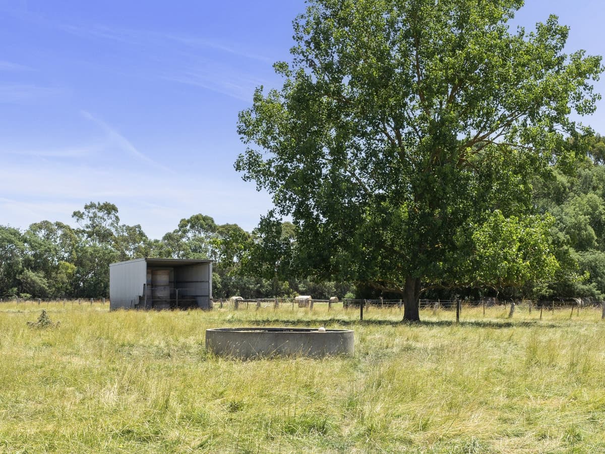 285 Swan Marsh-Stonyford Road, Swan Marsh, VIC, Swan Marsh - Thumbnail 2