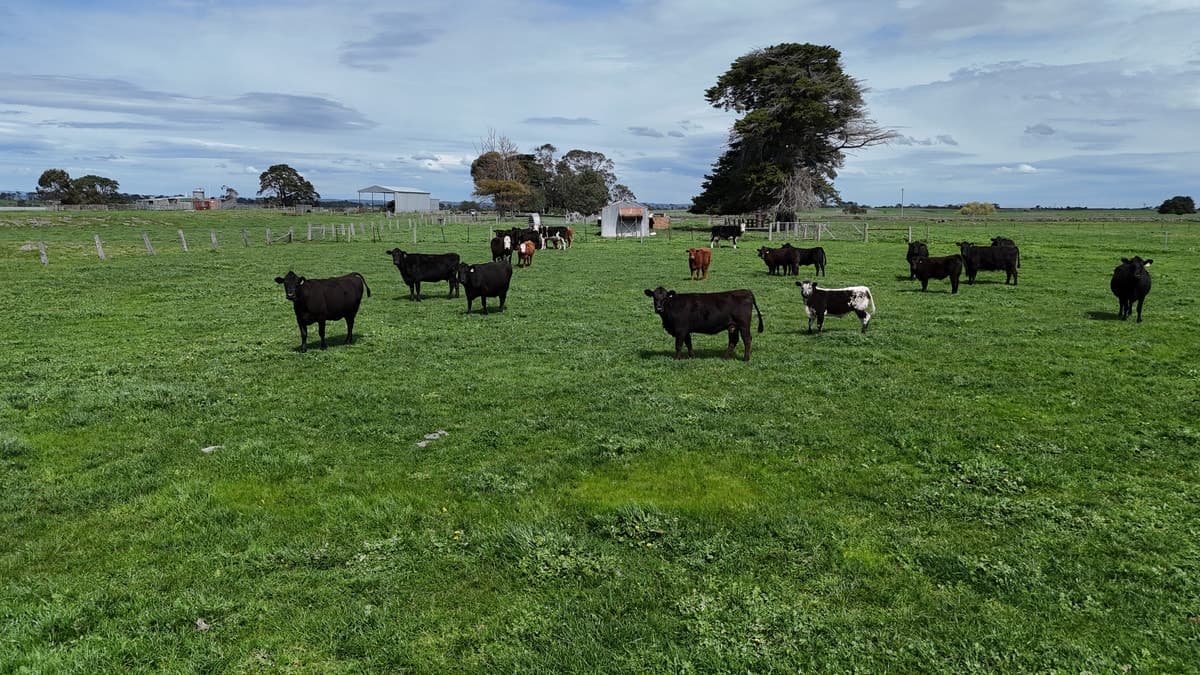 138 Morrells Road, Ondit, VIC, Ondit - Thumbnail 2