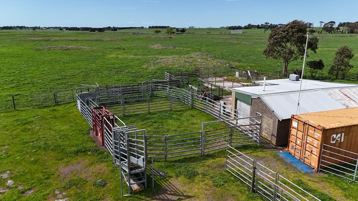 138 Morrells Road, Ondit, VIC, Ondit - Thumbnail 4