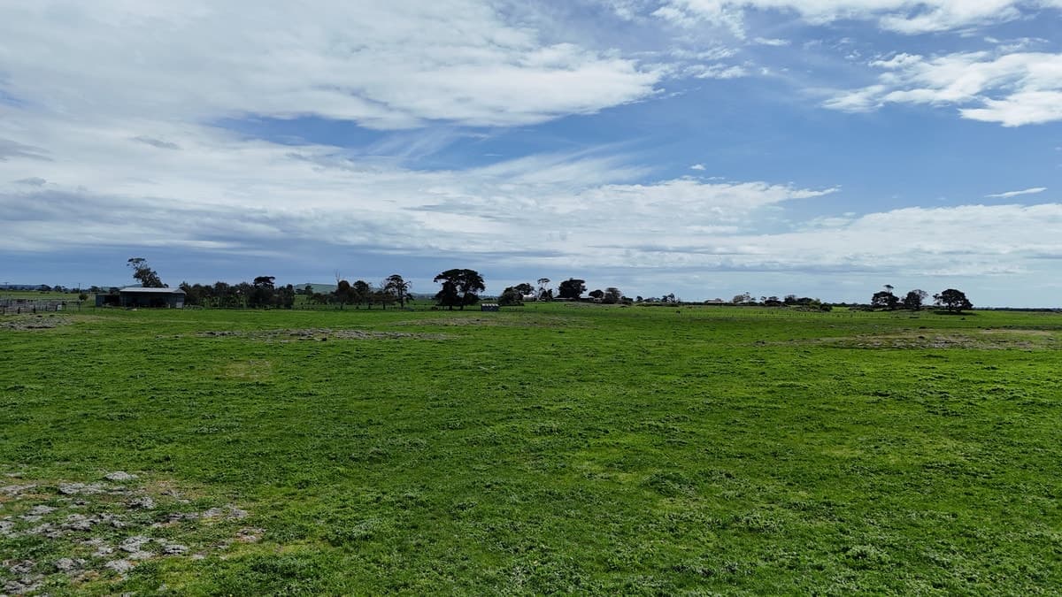 138 Morrells Road, Ondit, VIC, Ondit - Thumbnail 7