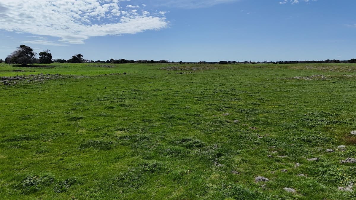 138 Morrells Road, Ondit, VIC, Ondit - Thumbnail 8