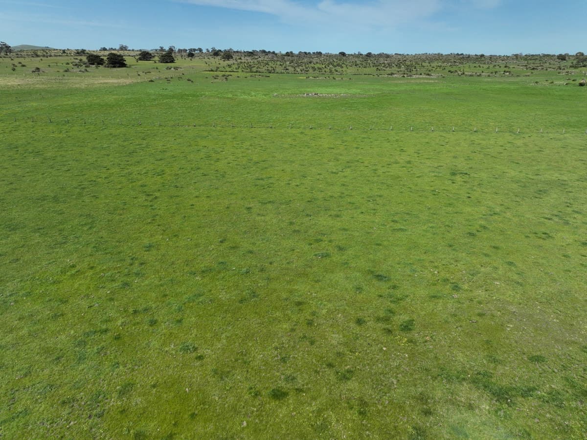 690 South Dreeite Road, Dreeite South, VIC, Dreeite South - Thumbnail 2