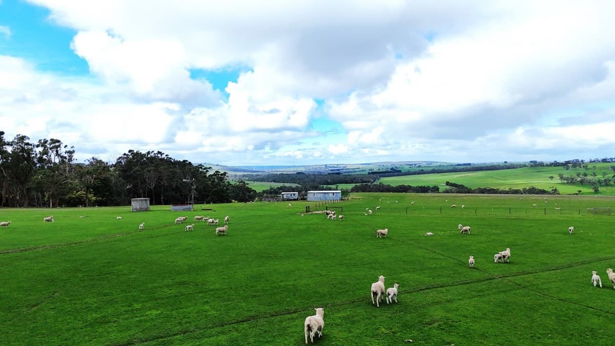 Doreys Road, Scotts Creek, VIC, Scotts Creek - Thumbnail 2