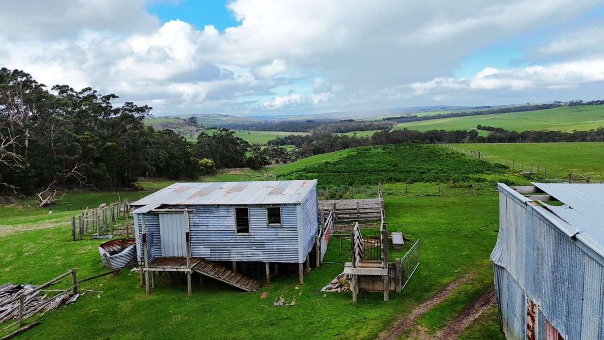 Doreys Road, Scotts Creek, VIC, Scotts Creek - Thumbnail 3
