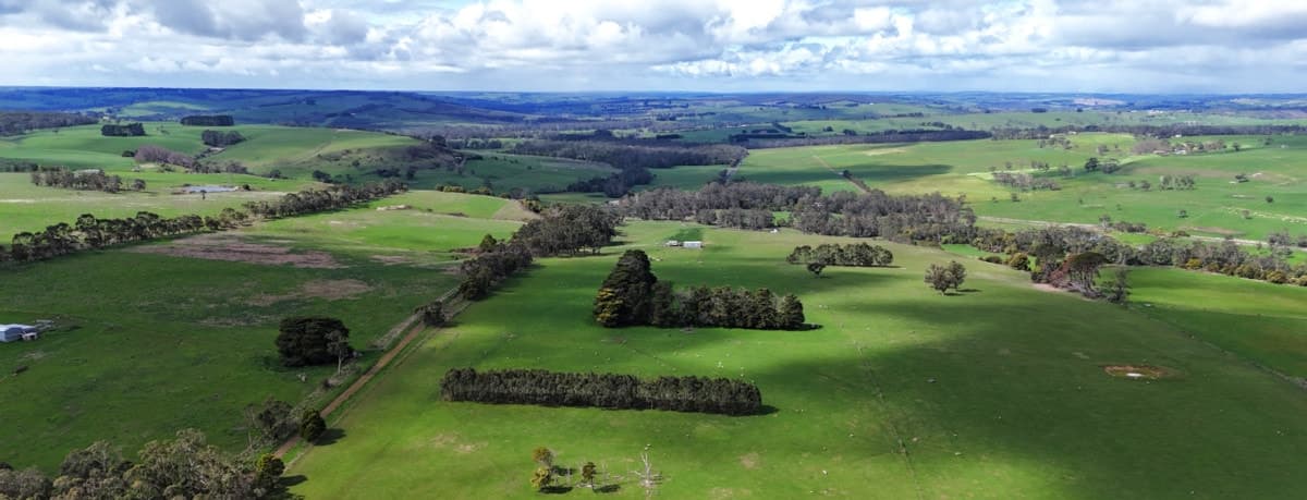 Doreys Road, Scotts Creek, VIC, Scotts Creek - Thumbnail 5