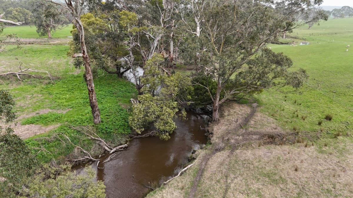 Doreys Road, Scotts Creek, VIC, Scotts Creek - Thumbnail 6