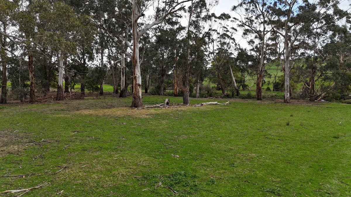 Doreys Road, Scotts Creek, VIC, Scotts Creek - Thumbnail 7