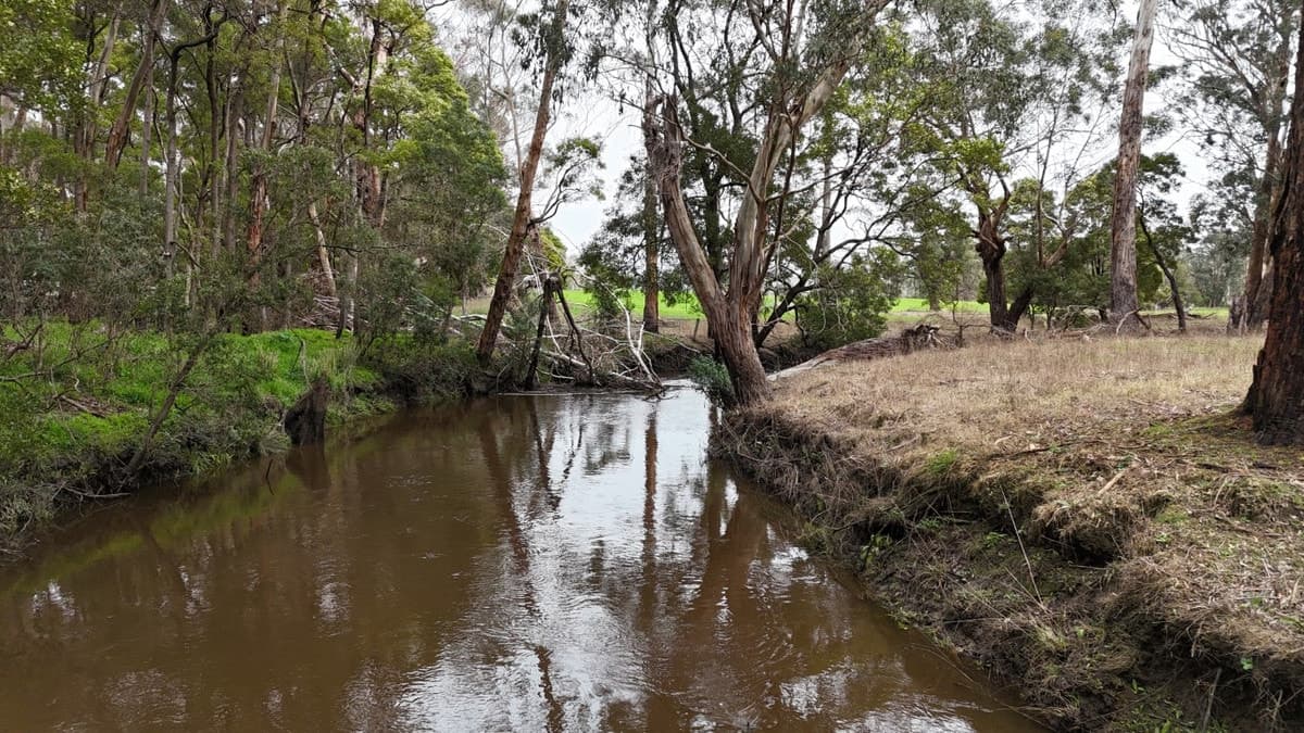 Doreys Road, Scotts Creek, VIC, Scotts Creek - Thumbnail 8
